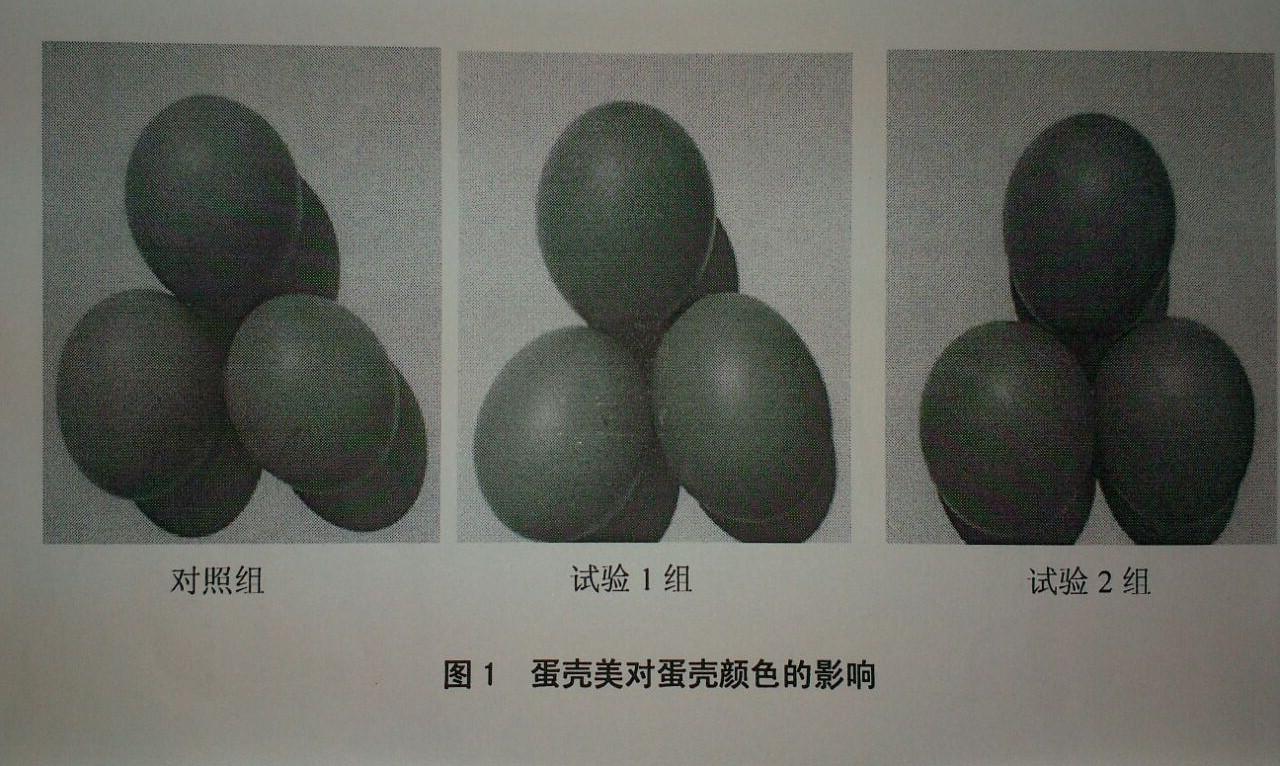 yh533388银河(中国)股份有限公司-官方网站