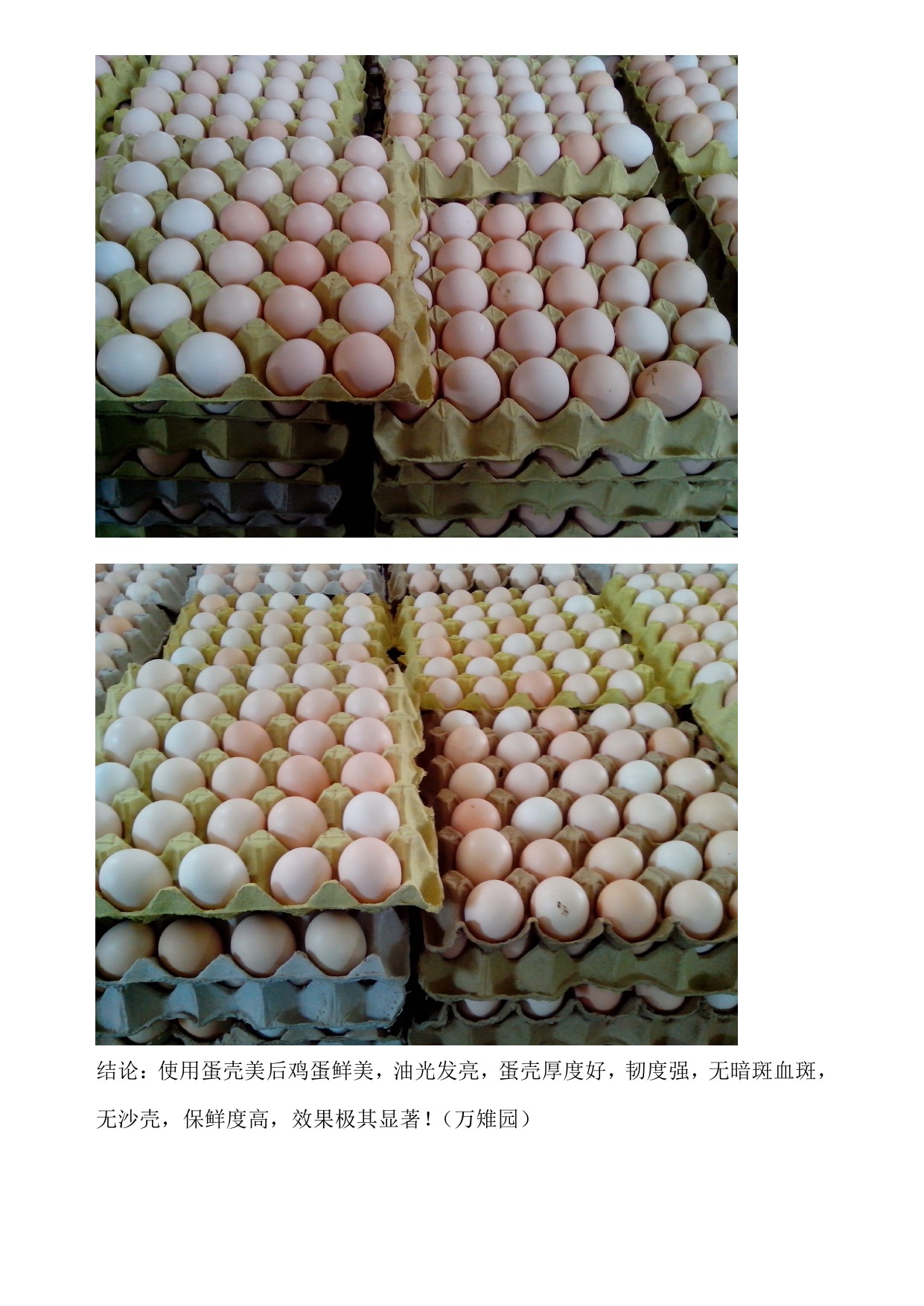 yh533388银河(中国)股份有限公司-官方网站