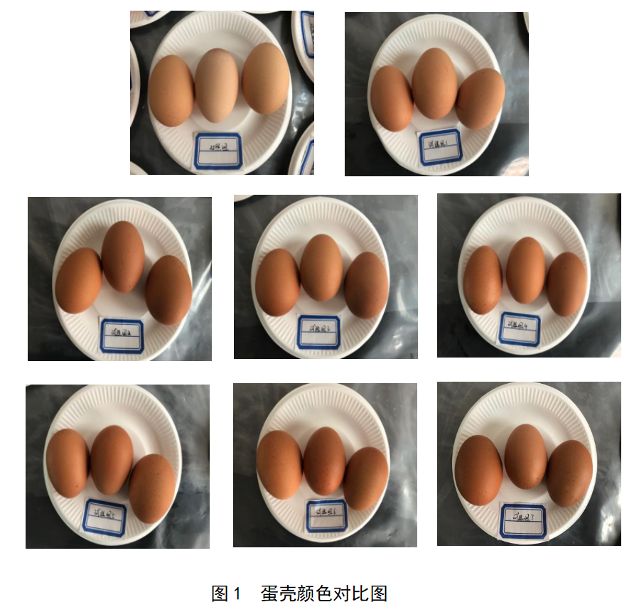yh533388银河(中国)股份有限公司-官方网站