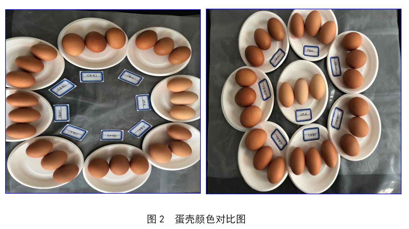 yh533388银河(中国)股份有限公司-官方网站